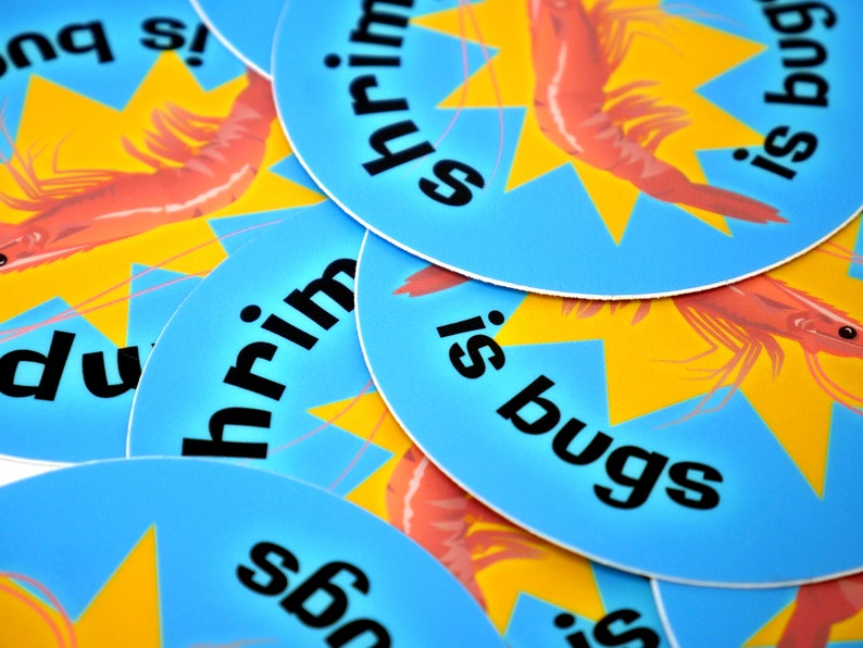 Puede incluir: Primer plano de varias pegatinas redondas azules y amarillas con el texto "Shrimp is bugs" impreso en negro. Las pegatinas presentan una ilustraci&oacute;n de camar&oacute;n de dibujos animados.