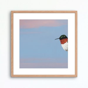 Hummingbird Art Print