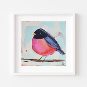 Pink Robin Art Print