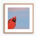 see more listings in the Bird Prints II section