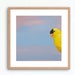 see more listings in the Bird Prints II section