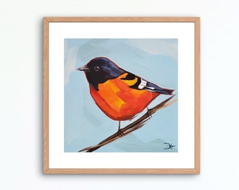 Baltimore Oriole Art Print