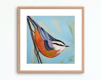 Nuthatch Art Print