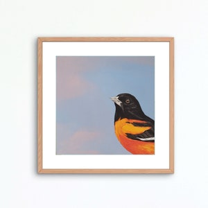 Baltimore Oriole Bird Art Print