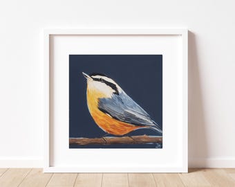 Nuthatch Art Print