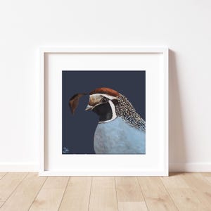 Quail Art Print