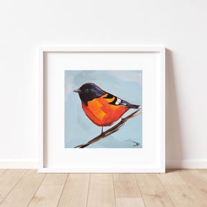 Baltimore Oriole Art Print