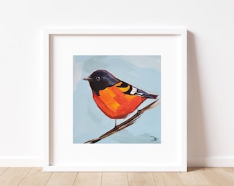 Baltimore Oriole Art Print