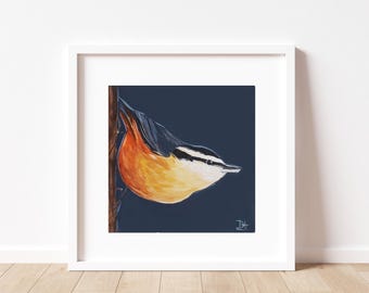 Nuthatch Art Print