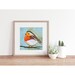 Robin Art Print - Etsy