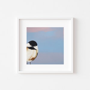 Chickadee Bird Art Print image 2