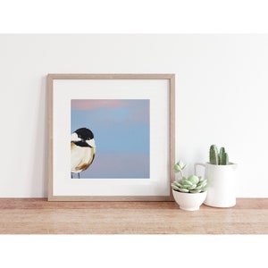 Puede incluir: Una pintura enmarcada de un p&aacute;jaro peque&ntilde;o con marcas negras y blancas en la cabeza y plumas marrones y blancas en el cuerpo. El p&aacute;jaro est&aacute; mirando hacia la izquierda y est&aacute; sobre un fondo azul y rosa.
