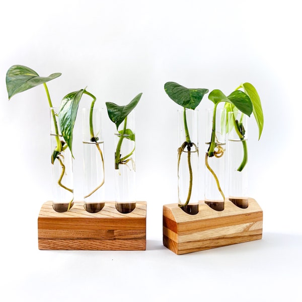 Propagation Station | Reclaimed Wood | Gifts