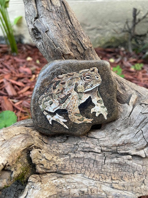 Make Toads From Rocks Toad Painted Rock Garden Decor Home Decor Cute Decoration | Etsy