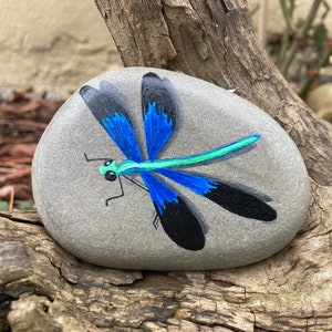 Dragonfly Painted Rock: Hand-Painted Garden Decor
