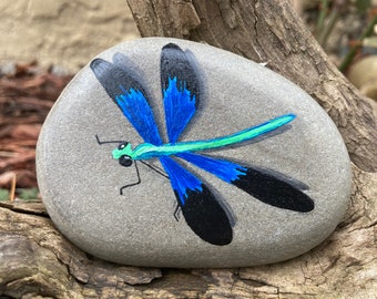 Dragonfly Painted Rock: Hand-Painted Garden Decor