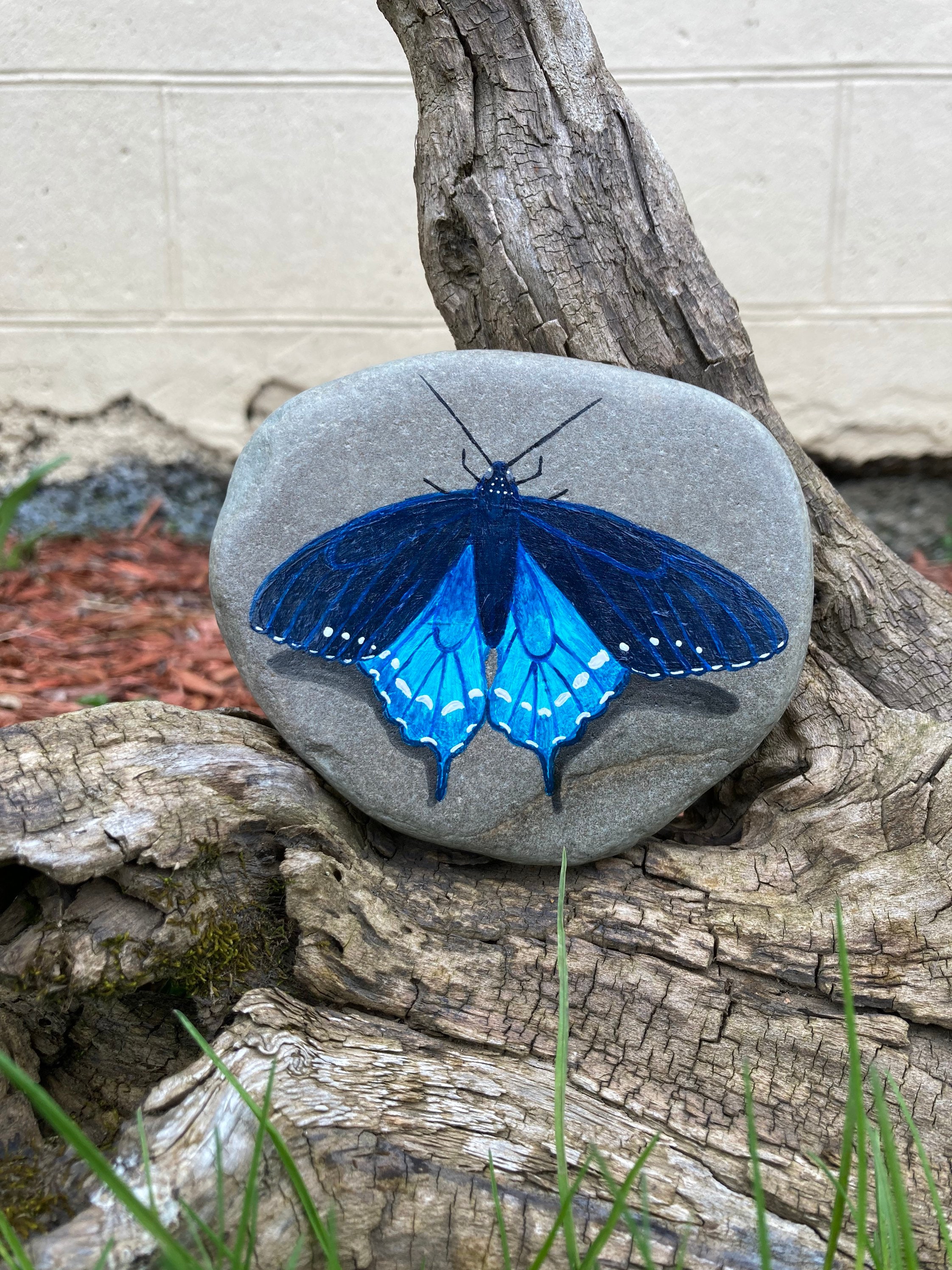 Butterfly Painted Rock: Garden Decor - Monarch, Swallowtail - Etsy