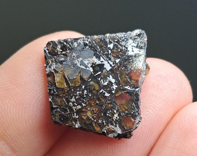 Pallasite Meteorite - Kansas