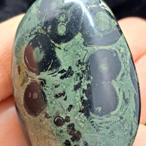 Kambaba Jasper