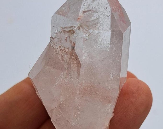 Pink Colombian Lemurian