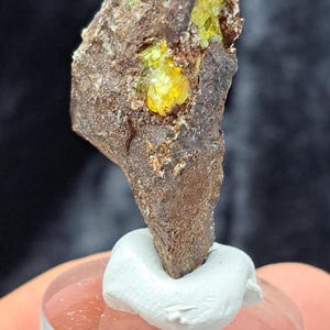 May include: A rough, brown mineral specimen with vibrant yellow-green crystalline inclusions. The mineral is mounted on a clear, circular base with white adhesive. The specimen's texture is coarse and irregular, showcasing natural geological formations.