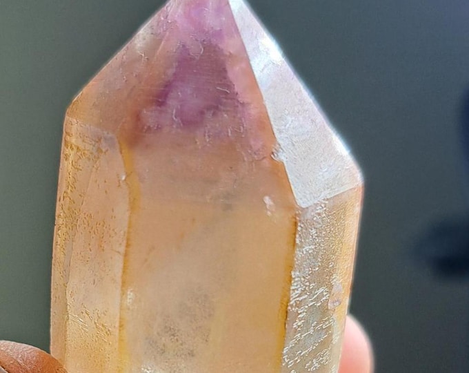 Gold Dreamcoat Lemurian