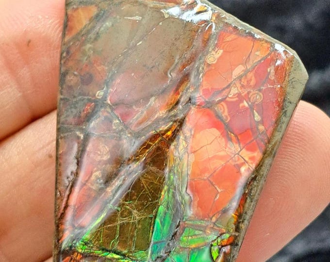 Ammolite