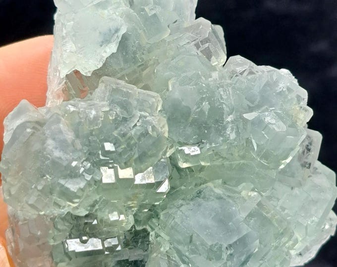 Glassy Fluorite