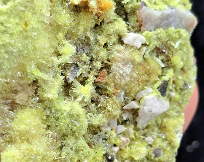 Creedite