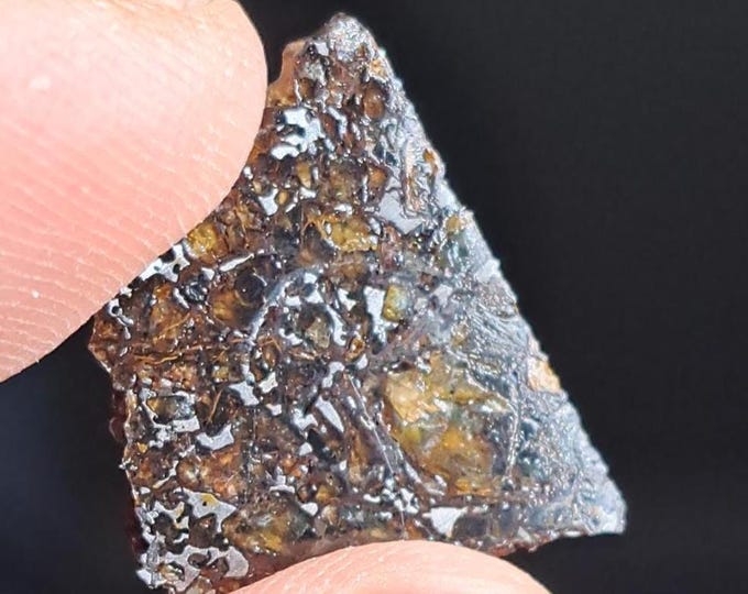 Pallasite Meteorite - Kansas