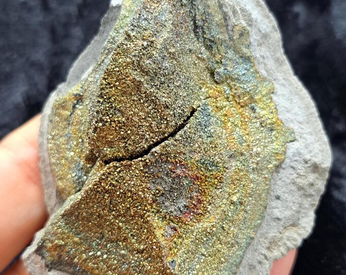 Rainbow Pyrite