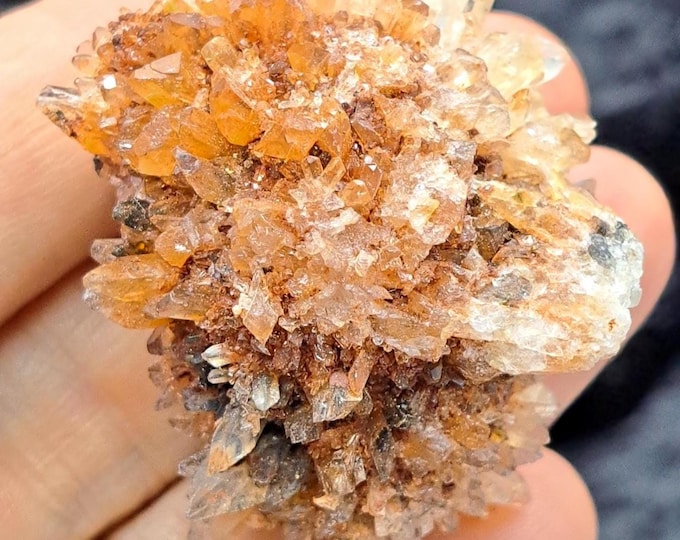 Creedite