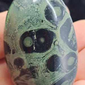 Kambaba Jasper