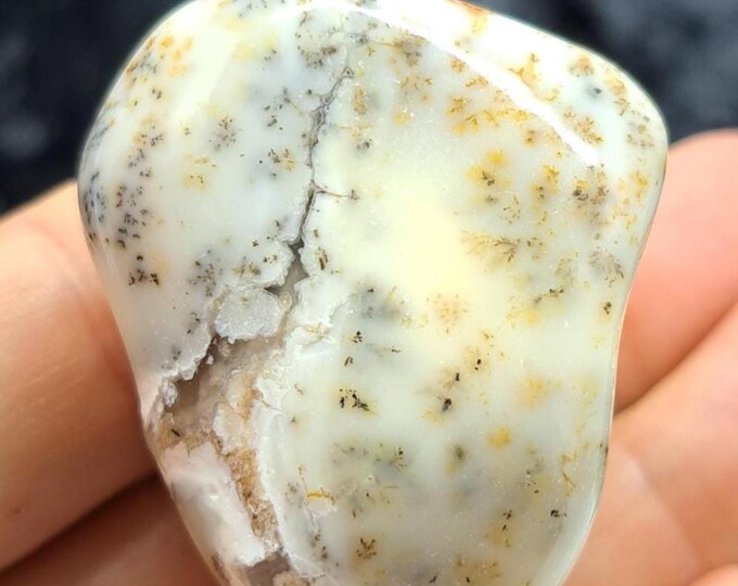 Yellow Dendritic Opal
