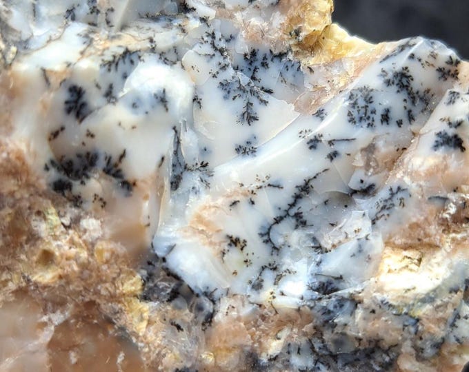 Dendritic Opal