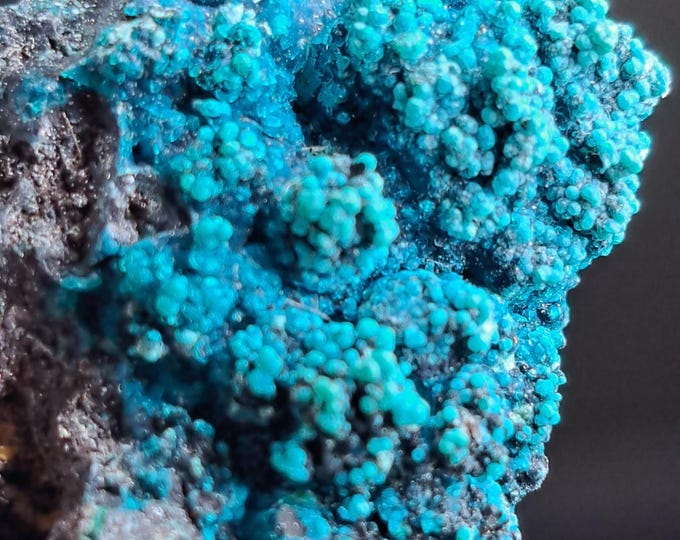 Botryoidal Chrysocolla