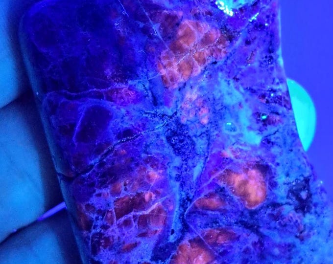 Sodalite - South Africa