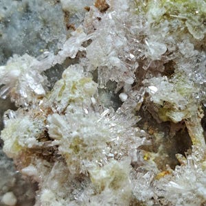 SUPER COOL Creedite