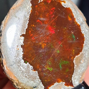 May include: A polished opal gemstone with a dark brown interior and a vibrant display of color. The opal's core features flashes of red, green, and orange. The outer layer is a light gray color, creating a striking contrast.