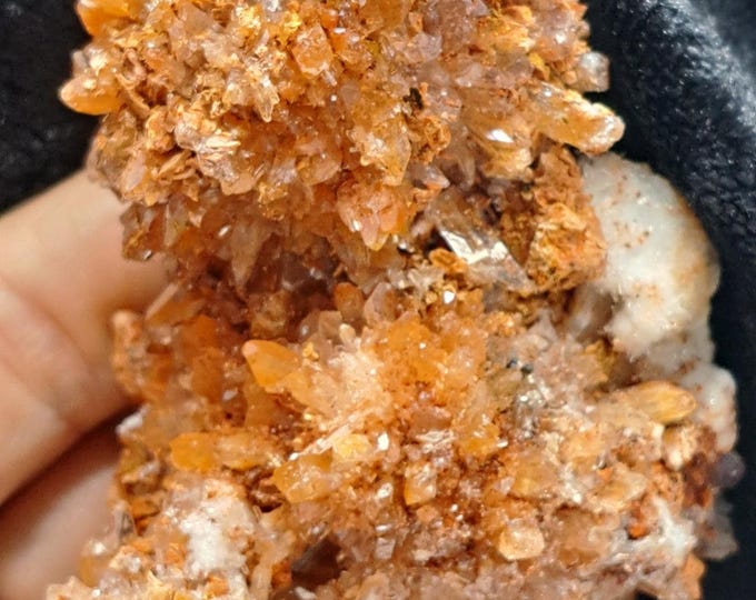 Creedite