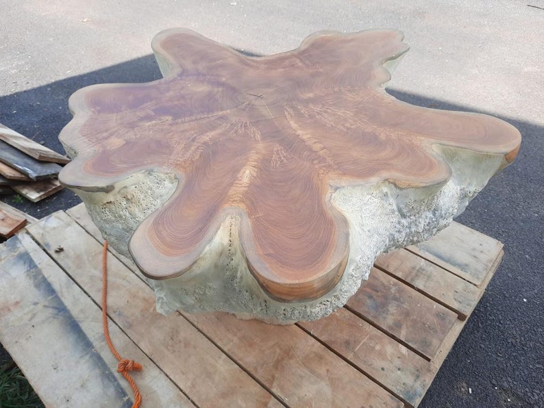 Bleach Teak Star Stump Coffee Table Teak Root Coffee Table Etsy