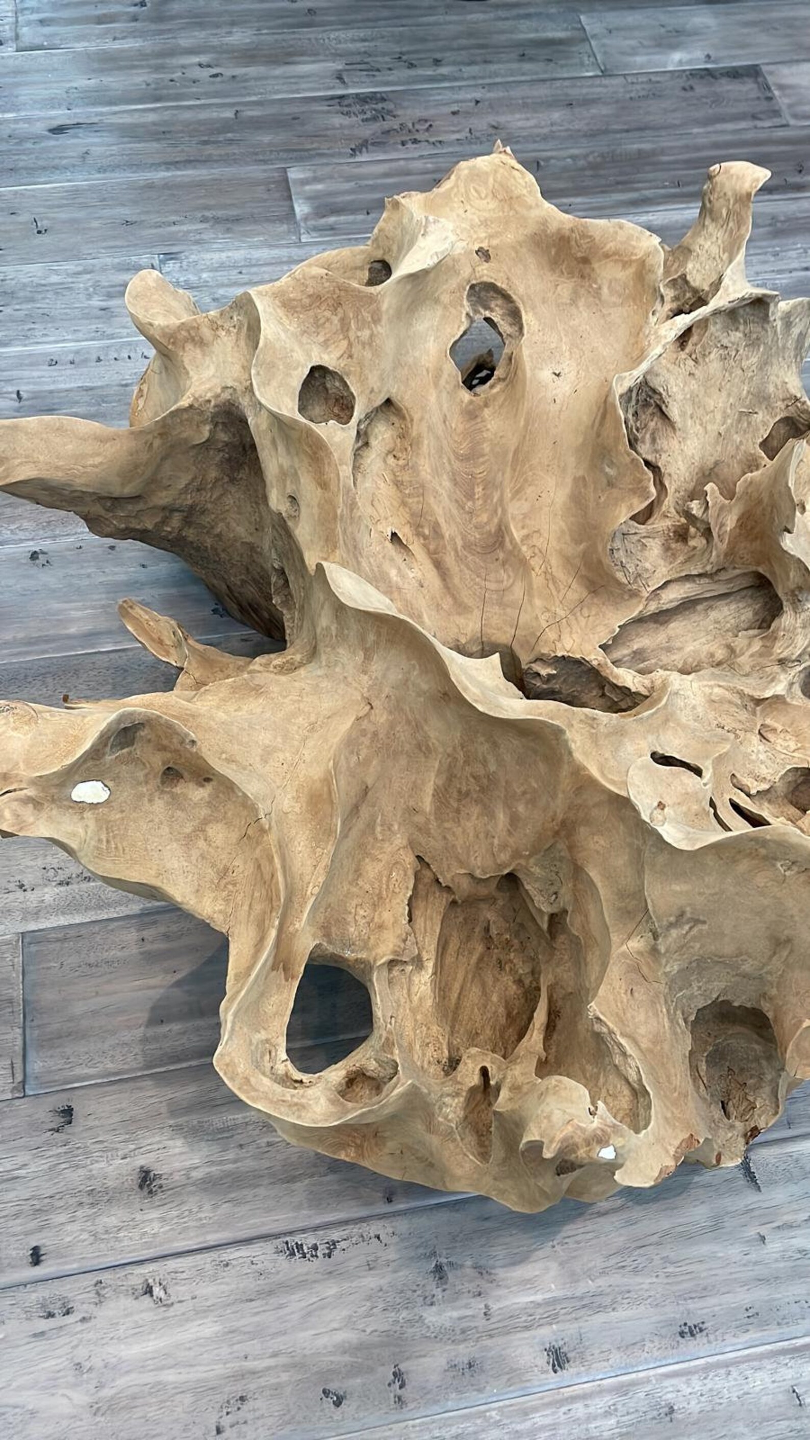 Round Teak Root Coffee Table Teak Root Coffee Table High Etsy