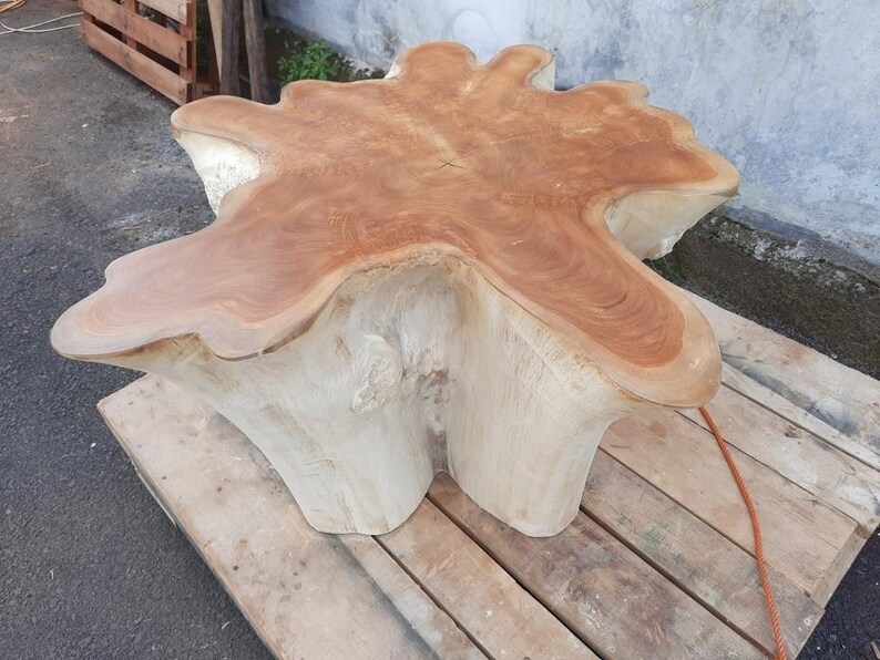 Bleach Teak Star Stump Coffee Table Teak Root Coffee Table Etsy