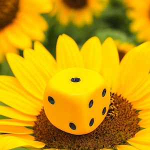 Dudds Dice Valve Stems Caps (4 Pack)