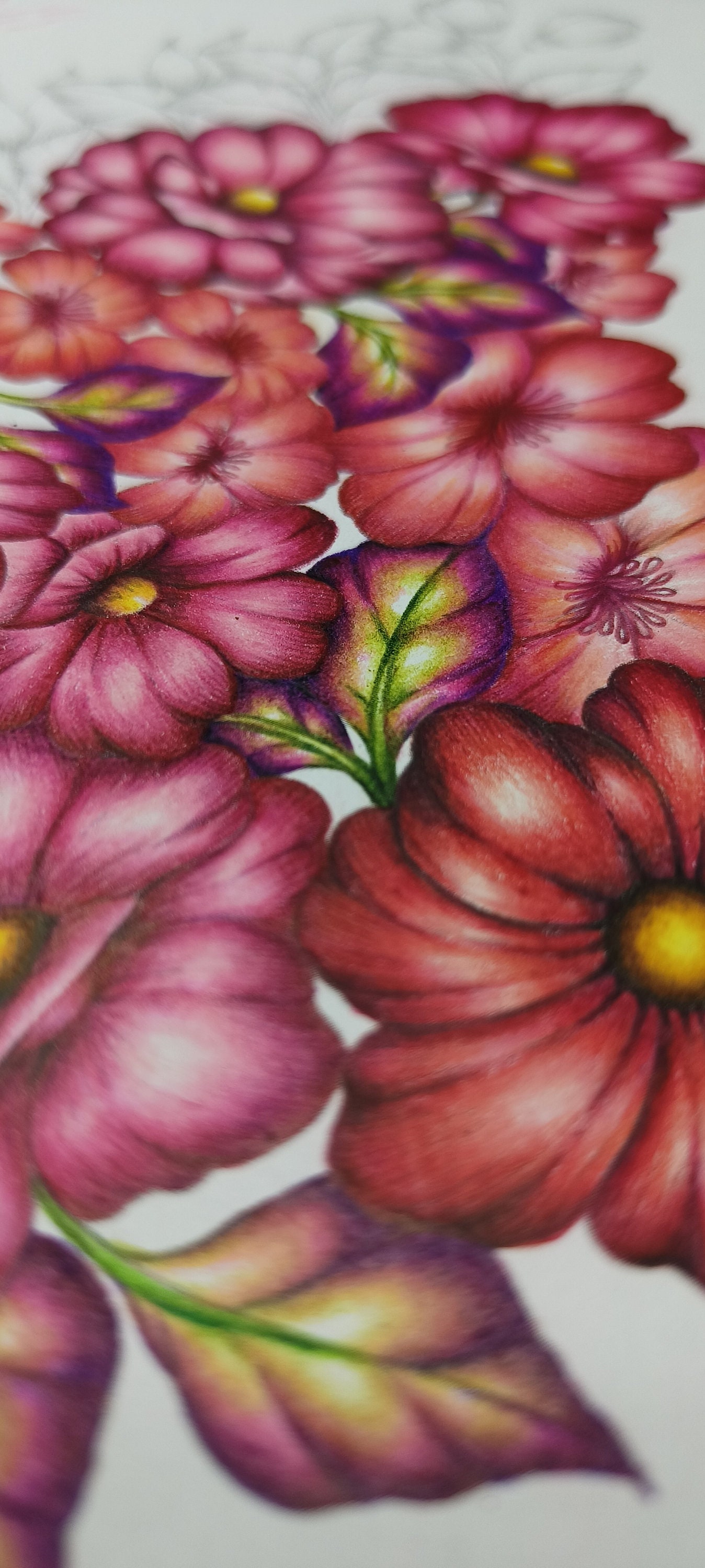 floral-colouring-page-instant-digital-download-all-over-etsy
