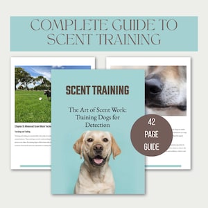 Puede incluir: Una guía titulada "Guía completa para el entrenamiento olfativo" con un fondo azul claro. La guía presenta un Labrador Retriever y el texto "El arte del trabajo olfativo: entrenamiento de perros para la detección". También se muestra una guía de 42 páginas.