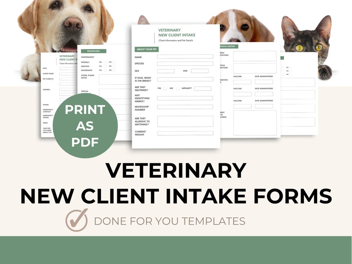 Veterinary Intake Form Template: Editable Canva Design (PDF Download ...