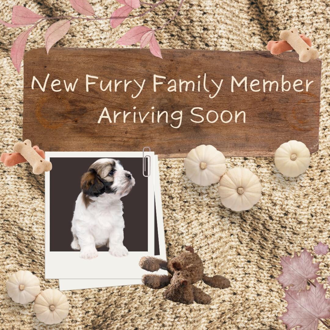 New Puppy Announcement: Autumn Pumpkin Social Media Post (digital