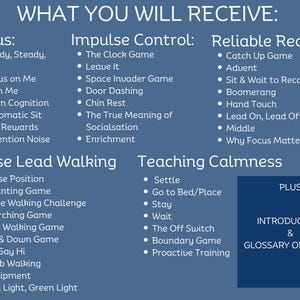 Dog Training Business Templates for Dog Trainers & Behaviourists Business Templates for Pet Business Download Edit in Canva