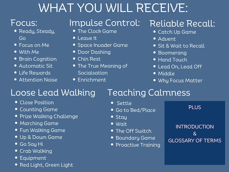 Dog Training Business Templates for Dog Trainers & Behaviourists Business Templates for Pet Business Download Edit in Canva